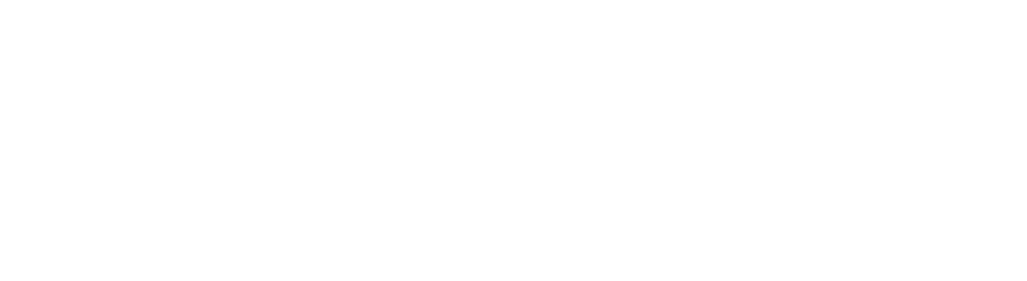 Prologic Technologies Logo